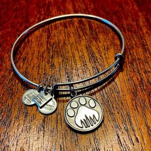 Alex and Ani silver bracelet